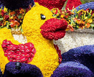 Фото Цветочная палитра Европы